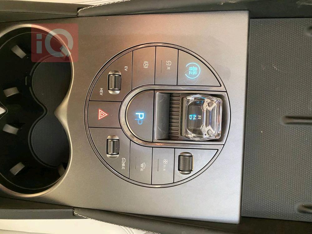 بي واي دي سيل 06 DM-i